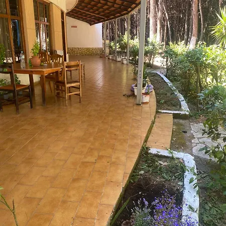 Pikihostseaside Albergue *